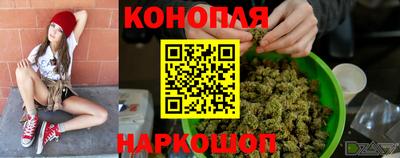 МДПВ Камышлов