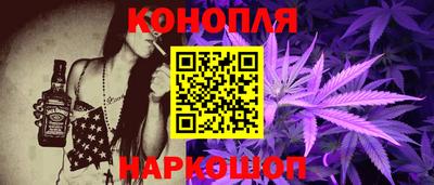 МДПВ Камышлов