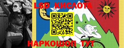амф Кандалакша