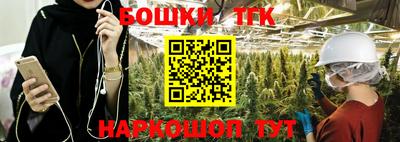 МДПВ Камышлов