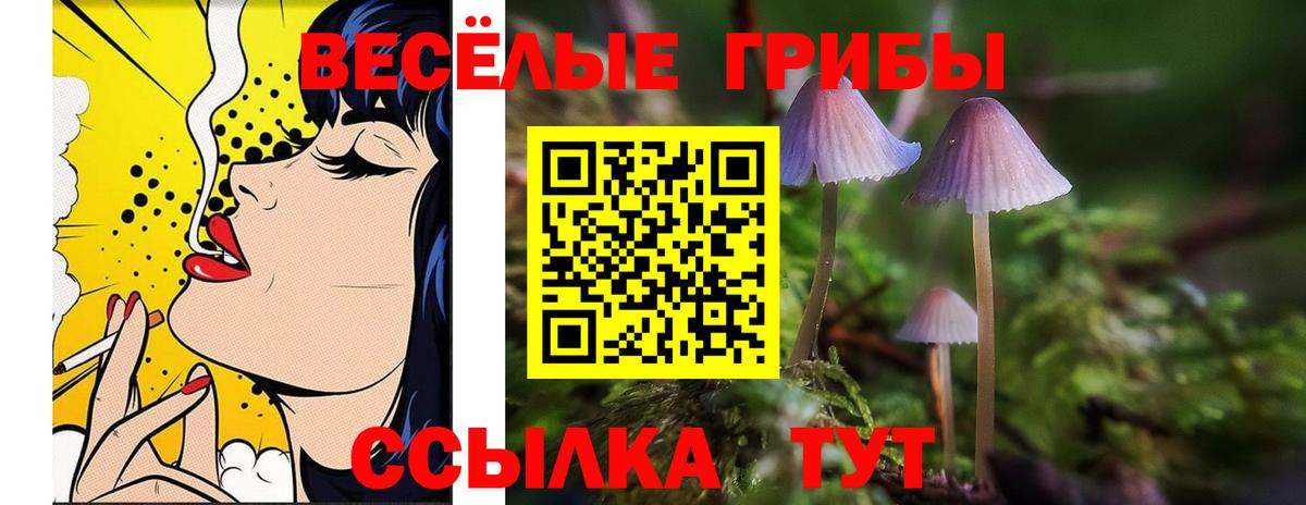 Гашиш  Вход с VPN  АМФ   Меф МЯУ МЯУ  Майский  Меф кристаллы  ГАШИШ  Cocaine  Конопля 